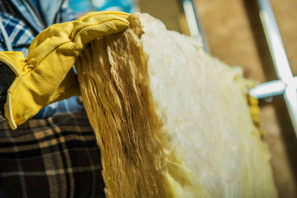 Best Geographic-Specific Insulation Services in Ore City, TX